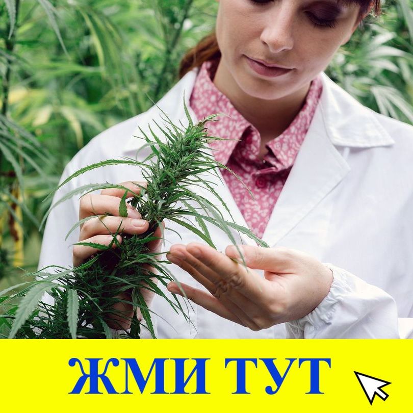 Купить наркотики в Новоаннинском